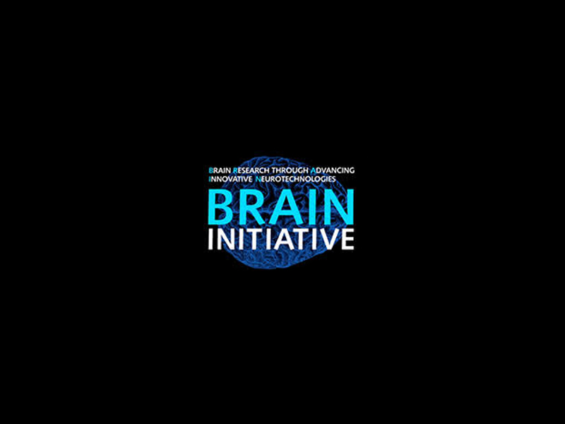 Brain Research Though Advancing Innovative Neurotechnologies